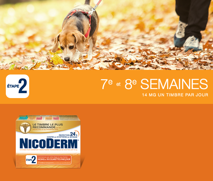 Nicodem Étape 2 - Timbre de 14 mg de nicotine